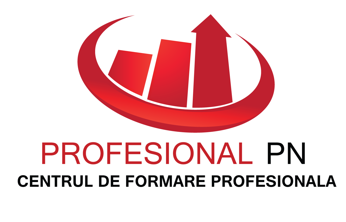 Logo Profesional Pn